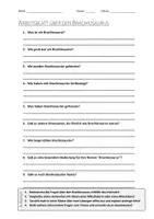 Vorschau - Arbeitsblätter - AB mit Fragen zum Thema "Brachiosaurus" + Lösungsblatt - Deckblatt