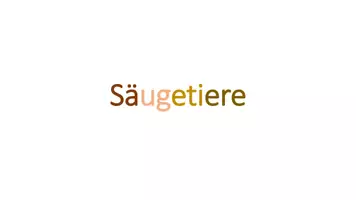 Vorschau - Stundenentwürfe - Interaktive Präsentation Säugetiere: Hund - Seite 1
