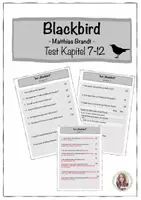 Vorschau - Test - Blackbird: Test Kapitel 7-12 | HSAP 2023 - Seite 1