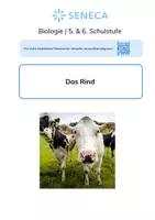 Vorschau - Arbeitsblätter - Das Rind - KOSTENLOS - Biologie 5. & 6. Klasse - Deckblatt