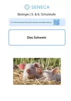 Vorschau - Arbeitsblätter - Das Schwein - Biologie 5. & 6. Klasse - Deckblatt