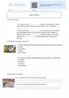 Vorschau - Arbeitsblätter - Das Schwein - Biologie 5. & 6. Klasse - Seite 2