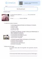 Vorschau - Arbeitsblätter - Das Schwein - Biologie 5. & 6. Klasse - Seite 3