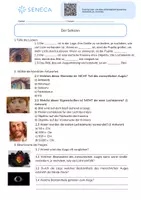 Vorschau - Arbeitsblätter - Der Sehsinn - KOSTENLOS - Biologie 5. & 6. Klasse - Seite 2