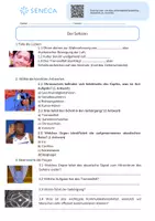 Vorschau - Arbeitsblätter - Der Hörsinn - Biologie 5. & 6. Klasse - Seite 2