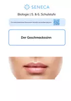 Vorschau - Arbeitsblätter - Der Geschmackssinn - KOSTENLOS - Biologie 5. & 6. Klasse - Deckblatt