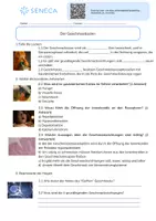 Vorschau - Arbeitsblätter - Der Geschmackssinn - KOSTENLOS - Biologie 5. & 6. Klasse - Seite 2