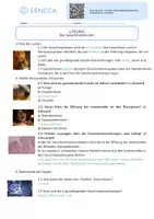 Vorschau - Arbeitsblätter - Der Geschmackssinn - KOSTENLOS - Biologie 5. & 6. Klasse - Seite 3