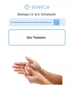 Vorschau - Arbeitsblätter - Der Tastsinn - KOSTENLOS - Biologie 5. & 6. Klasse - Deckblatt