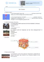 Vorschau - Arbeitsblätter - Der Tastsinn - KOSTENLOS - Biologie 5. & 6. Klasse - Seite 2