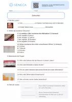 Vorschau - Arbeitsblätter - Zahnarten - KOSTENLOS - Biologie 5. & 6. Klasse - Seite 2