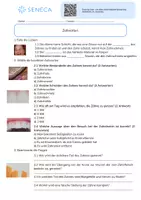 Vorschau - Arbeitsblätter - Aufbau & Pflege von Zähnen - Biologie 5. & 6. Klasse - Seite 2