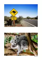 Vorschau - Arbeitsblätter - Describing a picture - Australia (mündliche Prüfung) - Seite 3