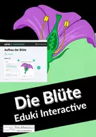 Vorschau - Stundenentwürfe - Materialpaket Blüte - Seite 2
