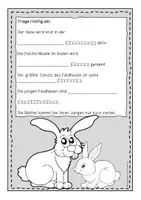 Vorschau - Anderer Materialtyp - Der Hase – Informationskartei mit Fragen (GS 2) - Seite 2