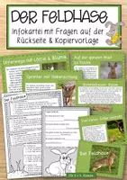 Vorschau - Anderer Materialtyp - Der Hase – Informationskartei mit Fragen (GS 2) - Deckblatt