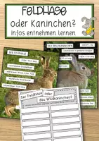 Vorschau - Anderer Materialtyp - Hase oder Kaninchen – Infos richtig entnehmen lernen - Deckblatt
