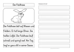 Vorschau - Anderer Materialtyp - Feldhase - Differenzierte Tafel-, Ansage und Abschreibtexte - Seite 3