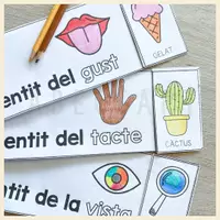 Vista previa - Hojas de trabajo - Los 5 sentidos. Desplegable manipulativo. Idiomas: CAT/CAST - Portada