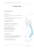 Vorschau - Arbeitsblätter - Anatomie und Physiologie, Atemsystem 6 Lektionen - Deckblatt