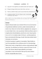 Vorschau - Arbeitsblätter - Laufdiktat "Sommer" - Klasse 5/6 - Deutsch/ LRS - Seite 1