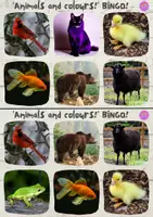 Aperçu - Jeux - Animal Color Bingo et Memotest en ANGLAIS - Animal Colour Bingo and Memotest - Page 3