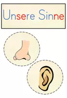 Vorschau - Unterrichtsreihen - Unsere 5 Sinne: Einführungsstunde - Seite 3