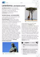 Vorschau - Arbeitsblätter - Evolutionstheorie Lamarcks / Evolution - AB mit Lösungen - Seite 1