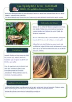 Vorschau - Merkblätter - SE002 - Ein gefällter Baum im Wald Infoblatt - Deckblatt