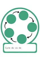 Aperçu - Apprentissages en autonomie - Cycle de vie - Page 1