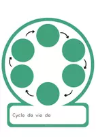 Aperçu - Apprentissages en autonomie - Cycle de vie - Page 2