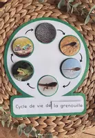 Aperçu - Apprentissages en autonomie - Cycle de vie - Page de couverture