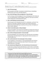Vorschau - Arbeitsblätter - AB mit Fragen zum Thema "Braunschweig" + Lösungsblatt + Infografik - Seite 2