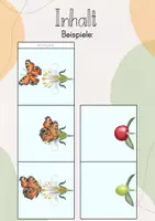 Vorschau - Stundenentwürfe - Leporello: Die Bestäubung durch Schmetterlinge - Seite 2