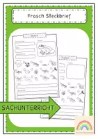 Vorschau - Unterrichtsreihen - Der Frosch - Riesenpaket (Metamorphose, Besonderheiten, Nahrung und Feinde) - Seite 1