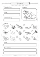 Vorschau - Unterrichtsreihen - Der Frosch - Riesenpaket (Metamorphose, Besonderheiten, Nahrung und Feinde) - Seite 2