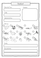 Vorschau - Unterrichtsreihen - Der Frosch - Riesenpaket (Metamorphose, Besonderheiten, Nahrung und Feinde) - Seite 3