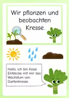 Vorschau - Stundenentwürfe - Forscherheft Kresse pflanzen - Unterrichtsreihe - Klasse 1 - Deckblatt