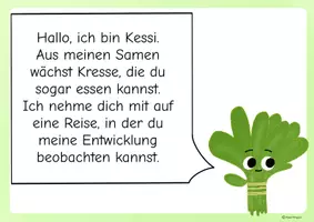 Vorschau - Stundenentwürfe - Forscherheft Kresse pflanzen - Unterrichtsreihe - Klasse 1 - Seite 3