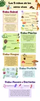 Vista previa - Decoración del aula - Infografías Ciencias Naturales - página 1