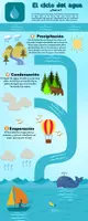 Vista previa - Decoración del aula - Infografías Ciencias Naturales - página 2