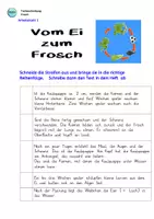 Vorschau - Arbeitsblätter - Frosch - Vom Ei zum Frosch : Lückentext und Abschreibtext - Seite 3