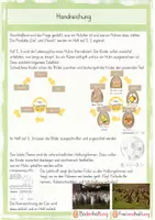 Vorschau - Arbeitsblätter - Das Huhn (Unterrichtseinheit) Klasse 2/3 - Seite 2