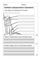 Vorschau - Test - Haustiere Probearbeit Lernzielkontrolle - Seite 1