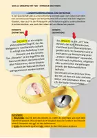 Vorschau - Arbeitsblätter - MATERIALPAKET: Gedankenexperimente - Seite 3