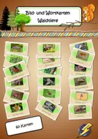 Vorschau - Bildkarten - Bildkarten Waldtiere - Deckblatt