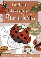 Vorschau - Arbeitsblätter - Drehrad Lebenszyklus Marienkäfer - Entwicklung Marienkäfer - Drehrad Bastel-Vorlage - Deckblatt