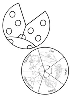 Vorschau - Arbeitsblätter - Drehrad Lebenszyklus Marienkäfer - Entwicklung Marienkäfer - Drehrad Bastel-Vorlage - Seite 1