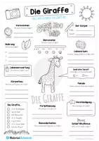 Vorschau - Arbeitsblätter - Steckbrief Giraffe - Seite 1