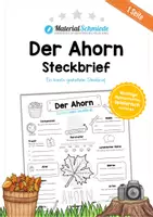 Vorschau - Arbeitsblätter - Steckbrief: Der Ahorn - Deckblatt